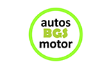 Auto BGS Motor